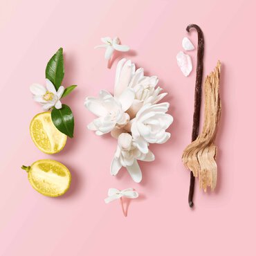 GA_2020_MyWay_EDP_Ingredients_Pink_RVB_3000